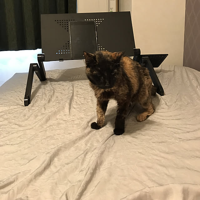 Archieさんの実例写真