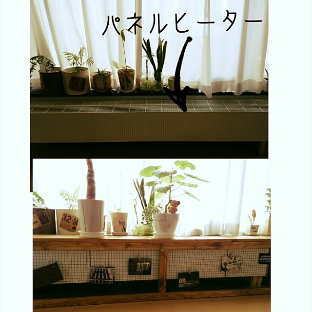 mariさんの実例写真