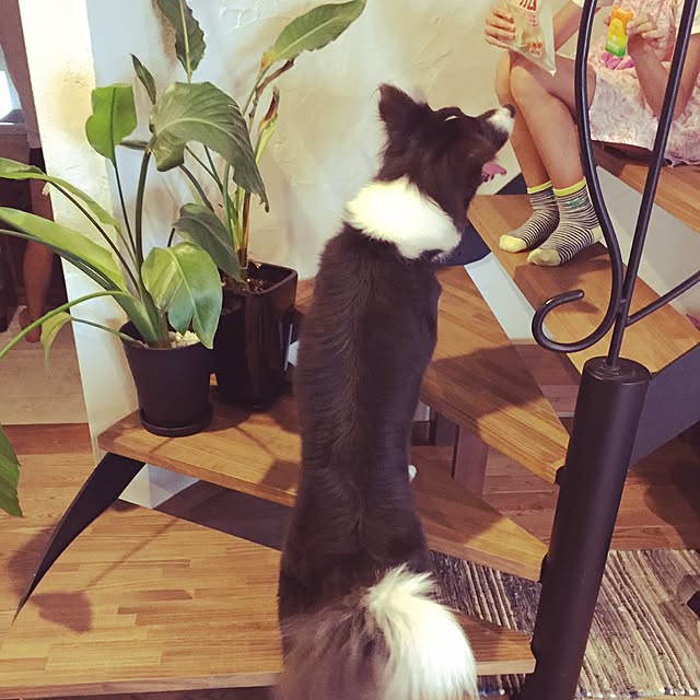 erinaさんの実例写真