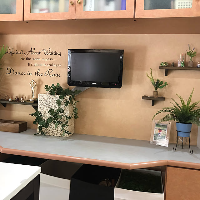 フェイクグリーン/観葉植物/IKEA/棚のインテリア実例 - 2019-05-30 13:02:11