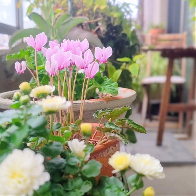 YuriYuriさんの実例写真