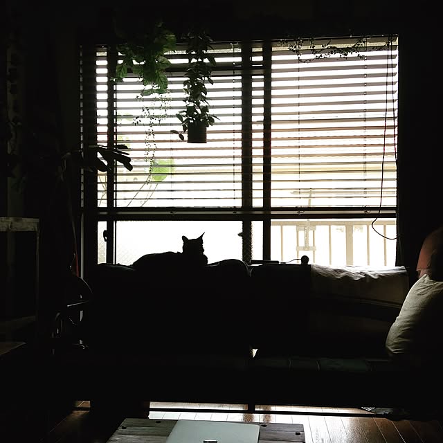 Naoki.さんの実例写真