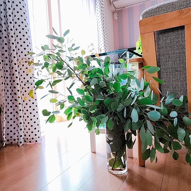 saさんの実例写真