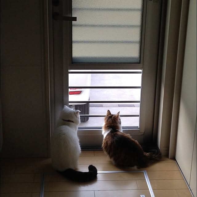 mikan0607さんの実例写真
