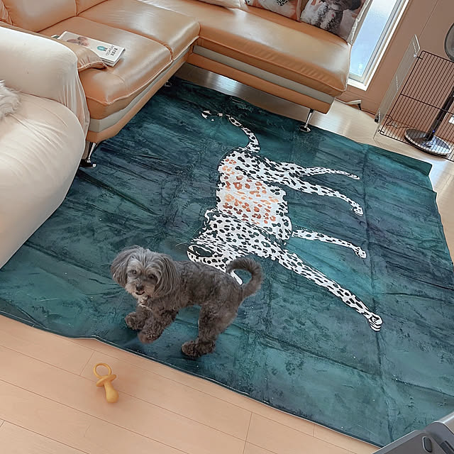 mako1210さんの実例写真