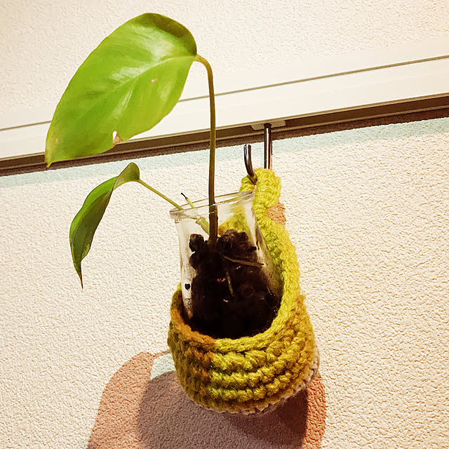観葉植物/ハンドメイド/部屋全体のインテリア実例 - 2019-08-21 20:31:27