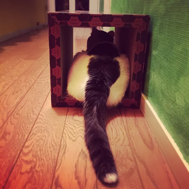 atelier-mossoさんの実例写真