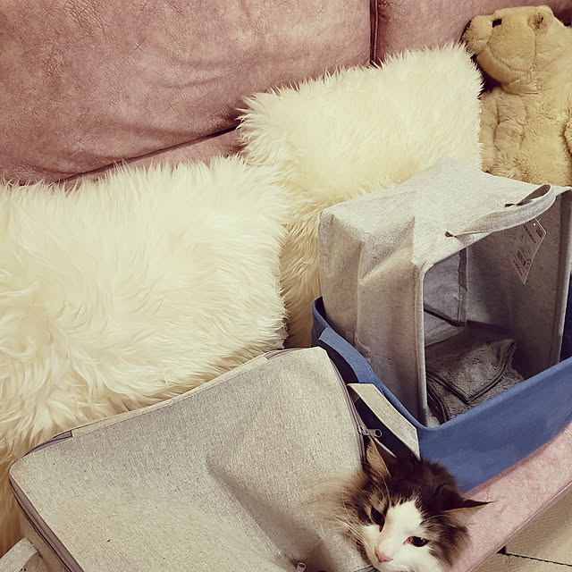mofさんの実例写真