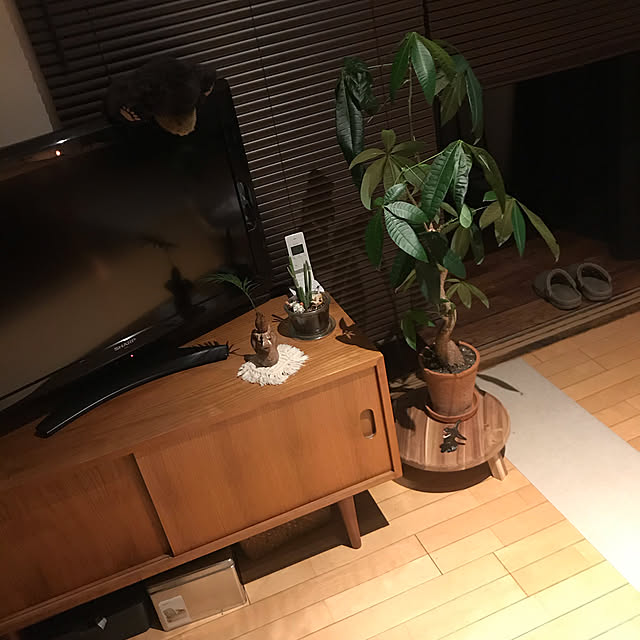 riechocoさんの実例写真