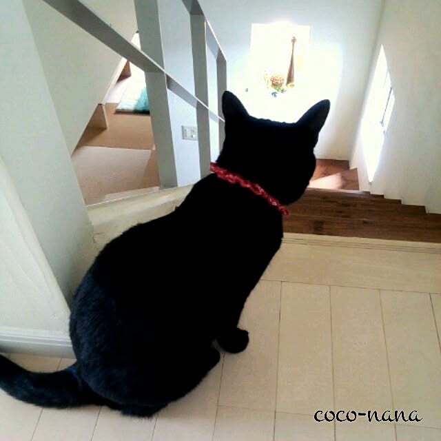 coconana165さんの実例写真