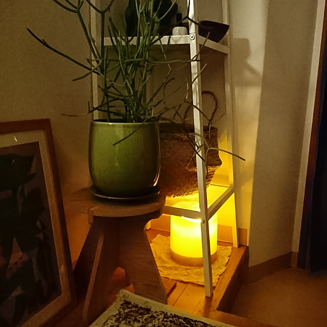 noripopさんの実例写真
