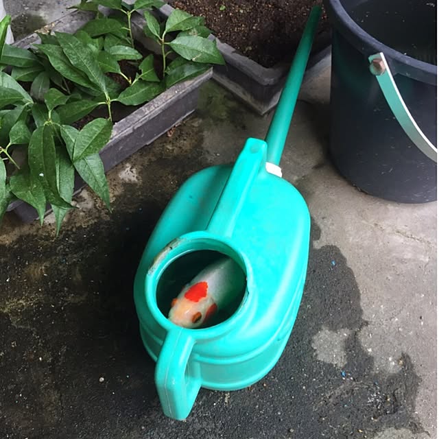 simple_blowbackさんの実例写真