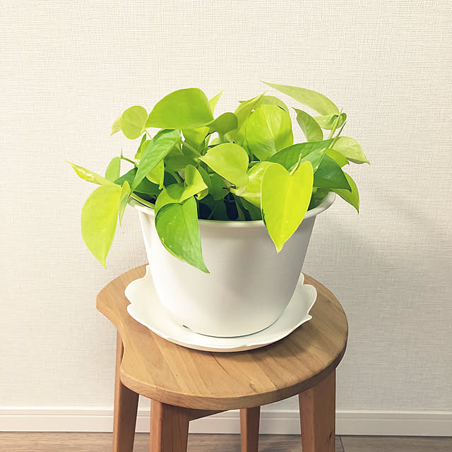 yoyoyoさんの部屋