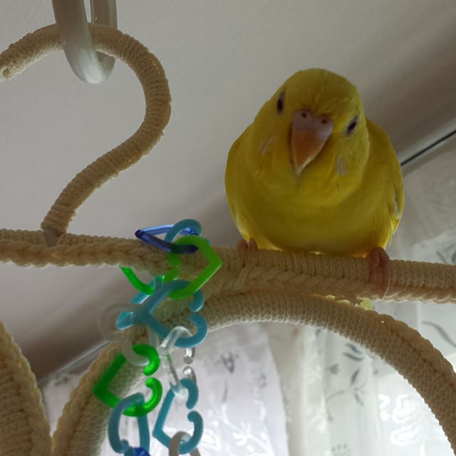 Mi-さんの実例写真