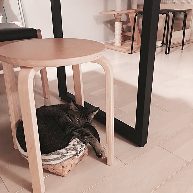 Reikoさんの実例写真