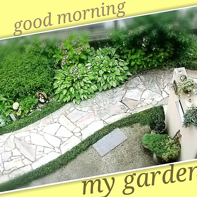portulacaさんの実例写真