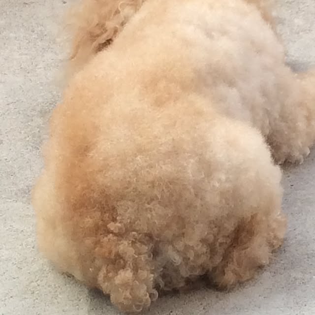 naruさんの実例写真
