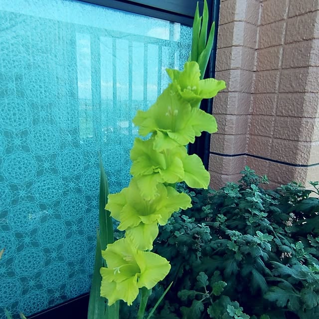 NOAHさんの実例写真