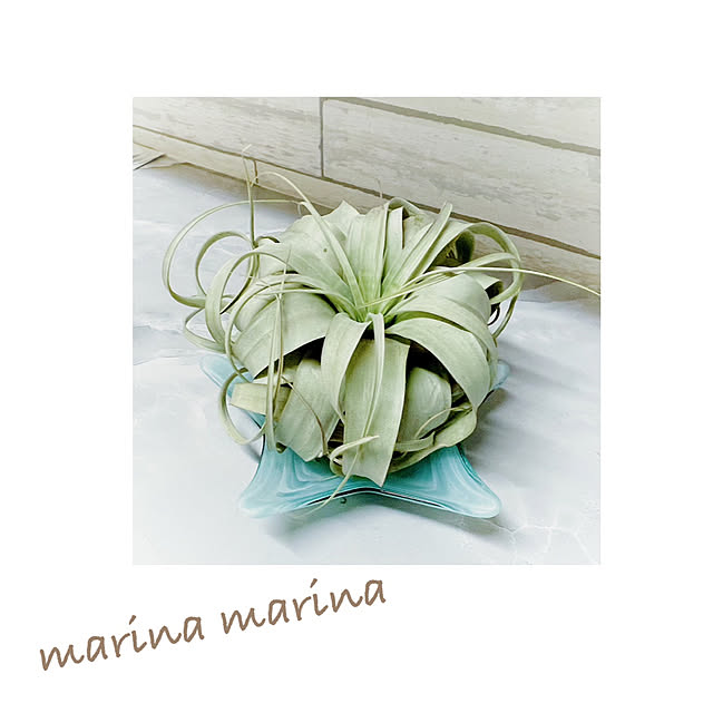 marina.marina.77さんの実例写真