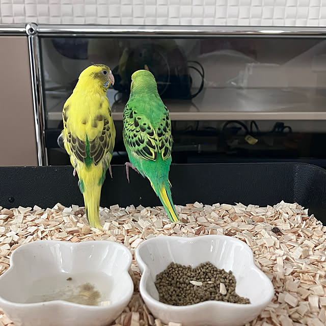 SYさんの部屋