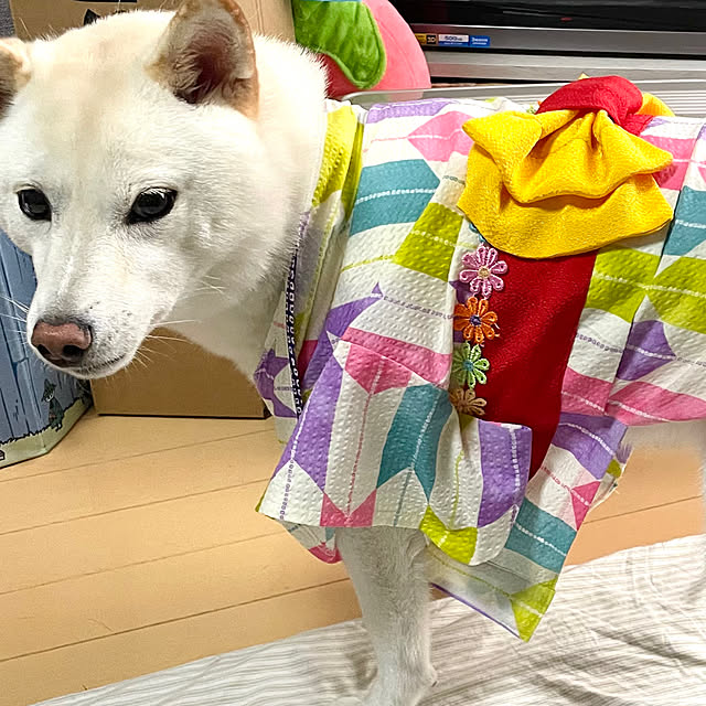 mo-nosukeさんの部屋