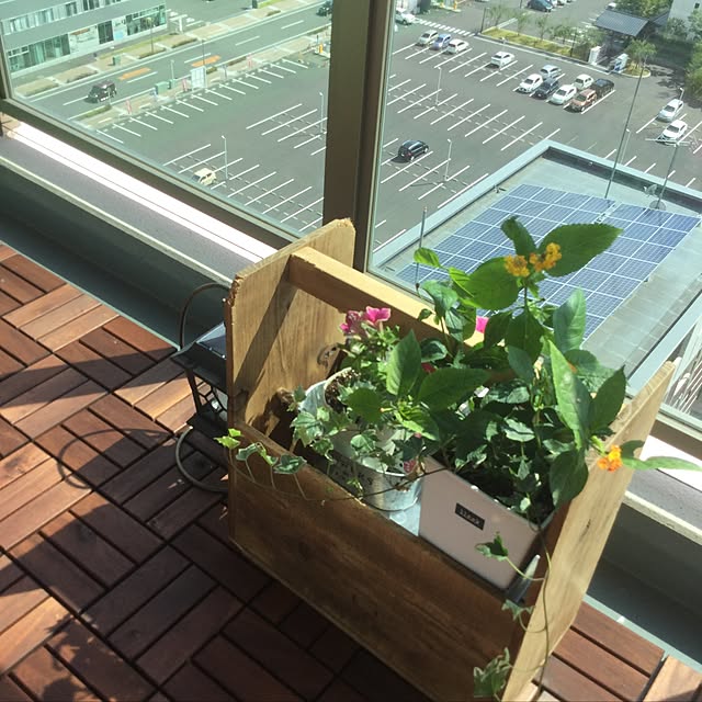 MIOさんの実例写真
