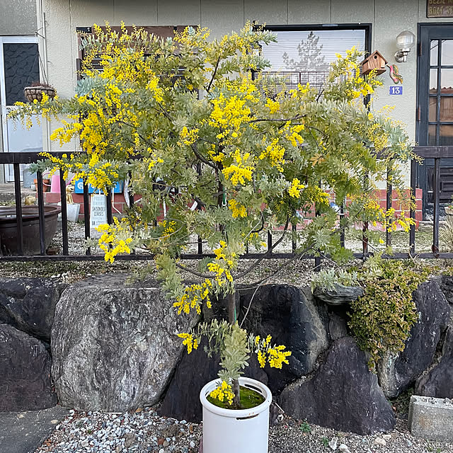 shin0719さんの部屋