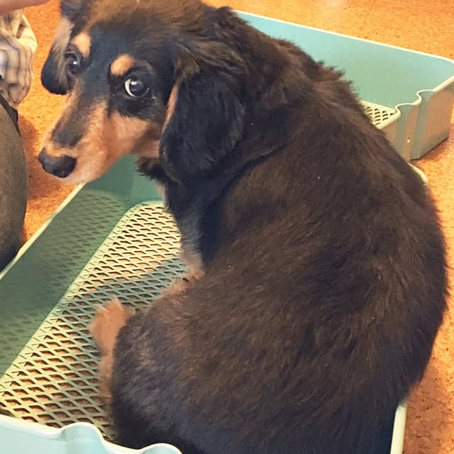 ohanaさんの実例写真