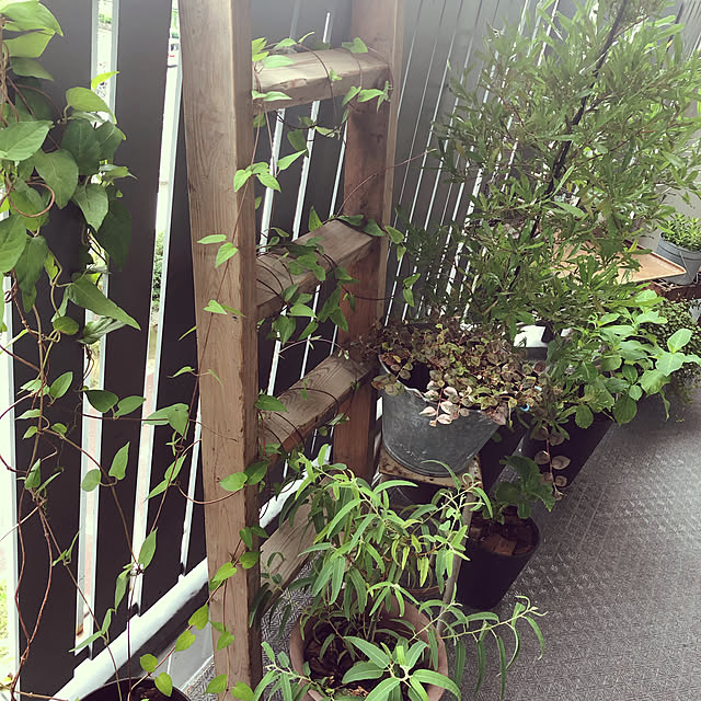 yukさんの実例写真