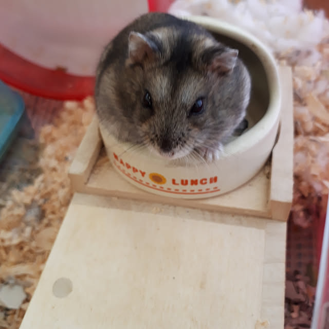 blueさんの実例写真