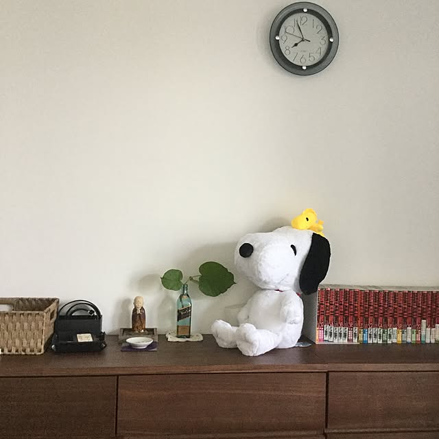 MIOさんの実例写真