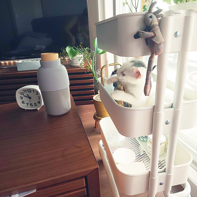 necoさんの実例写真