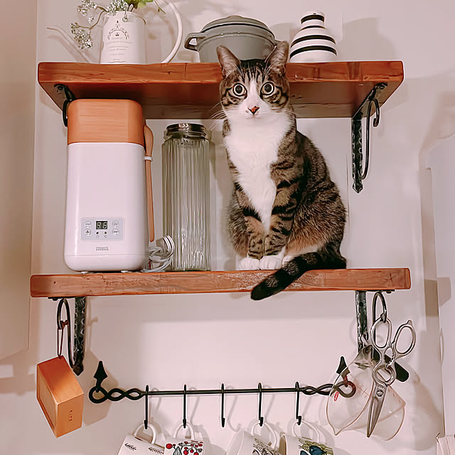 milkcocoaさんの部屋