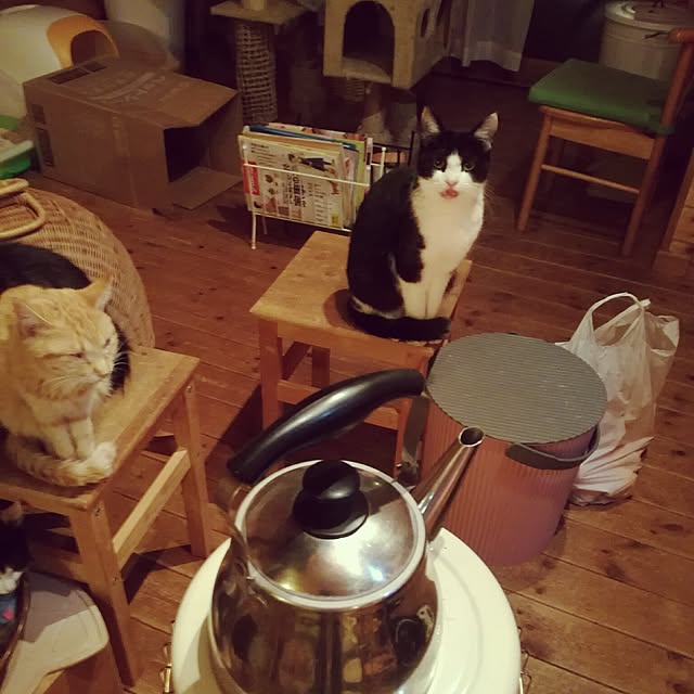Maki-nekomamireさんの実例写真