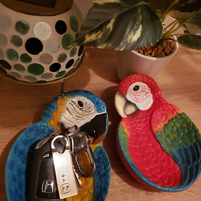 kajiryo261091さんの実例写真