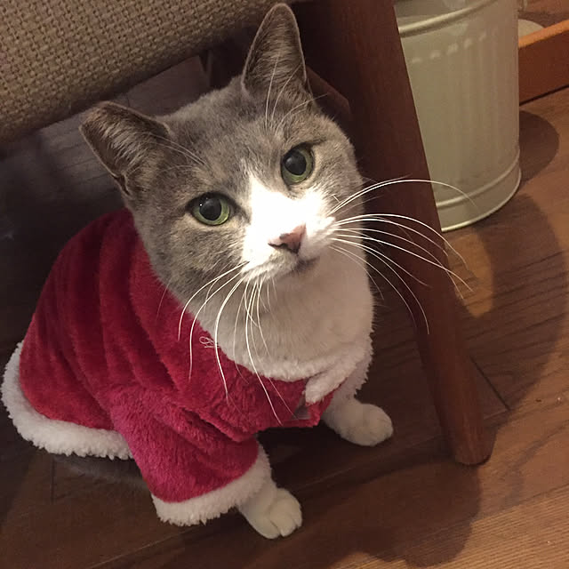 natsumama6566さんの実例写真