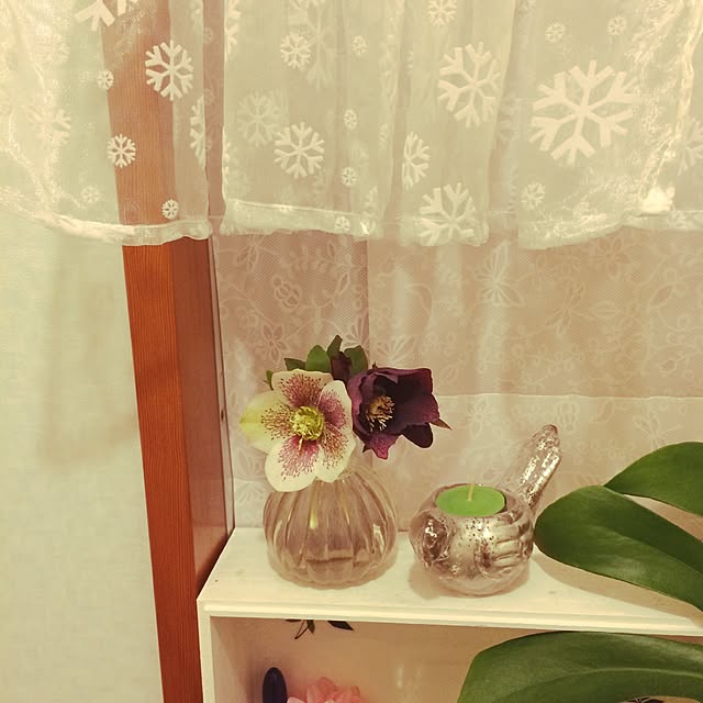 scabiosa1982さんの実例写真