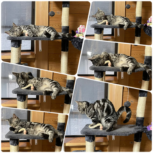 yumiさんの実例写真
