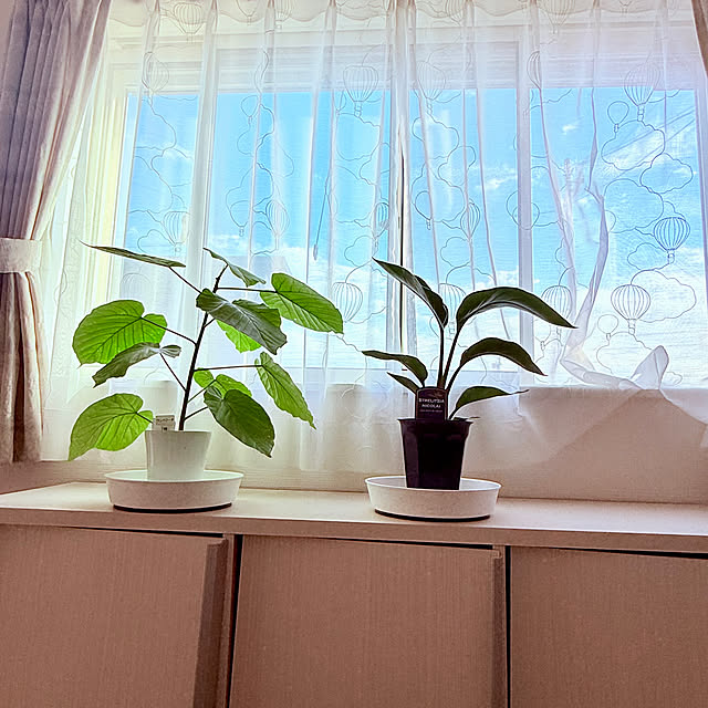 akihimeさんの実例写真