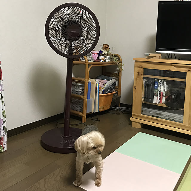 azumarukun8さんの実例写真