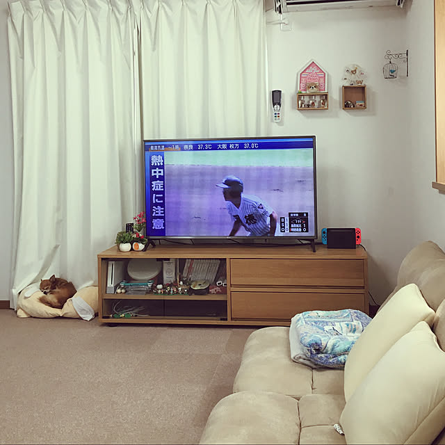 koroさんの実例写真