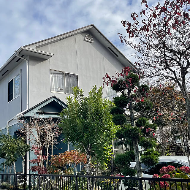 nobikoさんの部屋