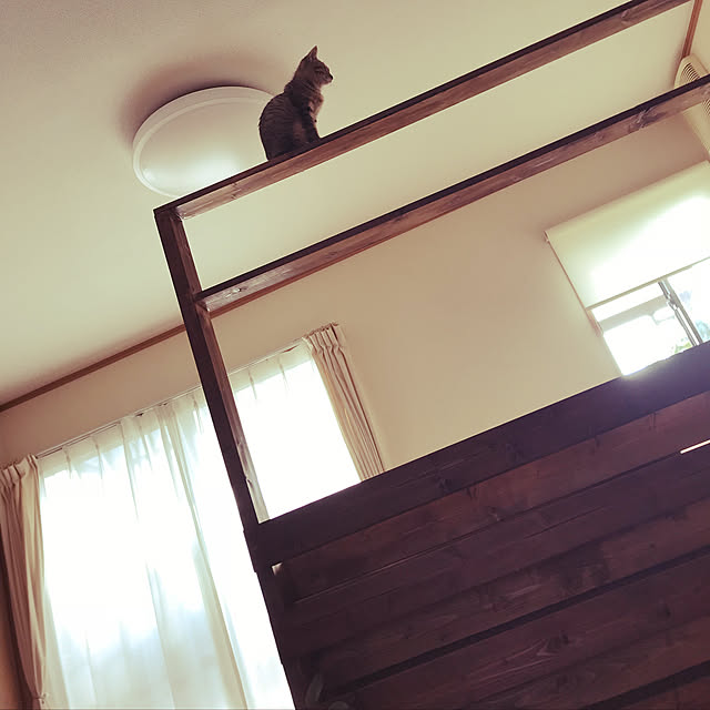 mikan161さんの実例写真