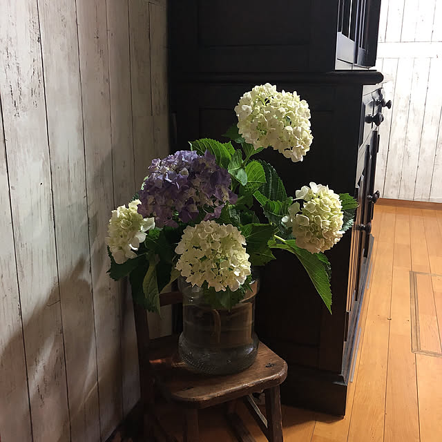 komainuさんの実例写真