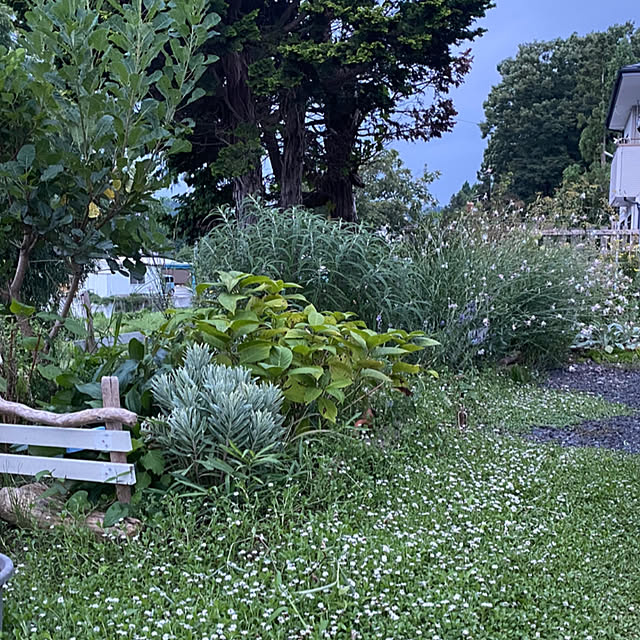 sattoさんの部屋