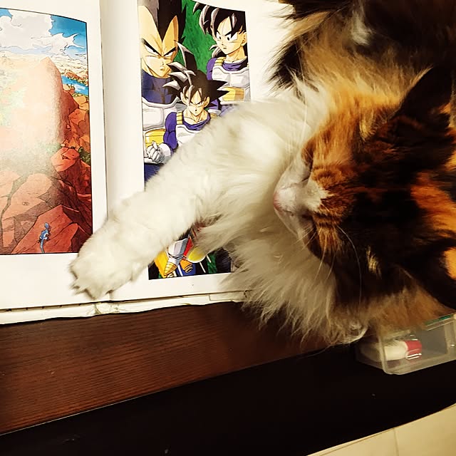 Tomokoさんの実例写真
