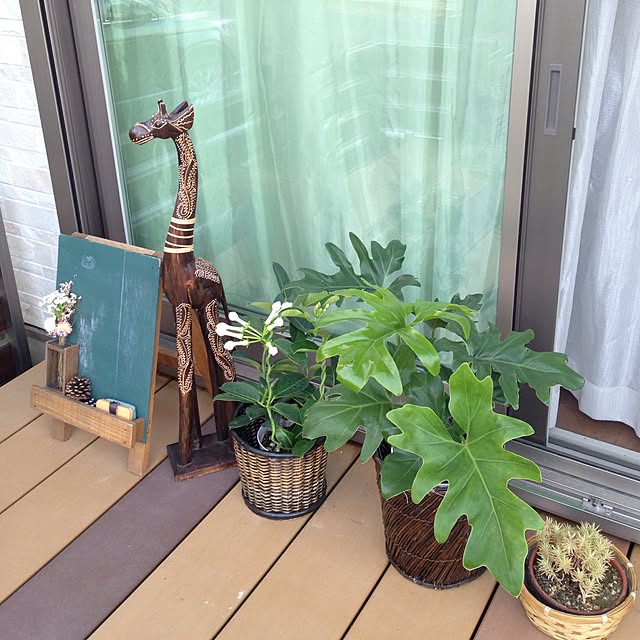 ayayayayaさんの実例写真