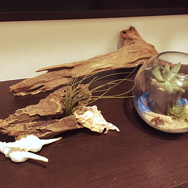 lionmaru1414さんの実例写真