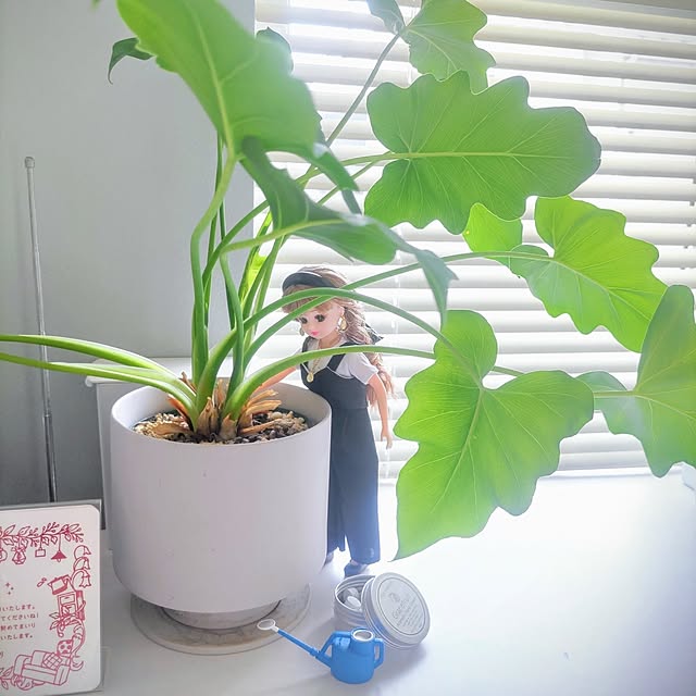 Haさんの部屋