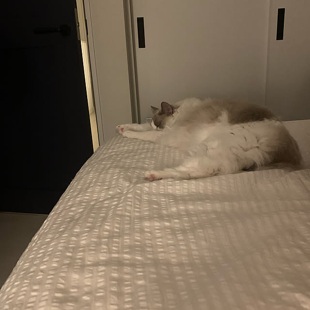 yukiさんの実例写真